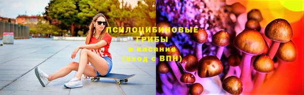 сатива Алексин