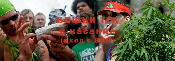 сатива Алексин