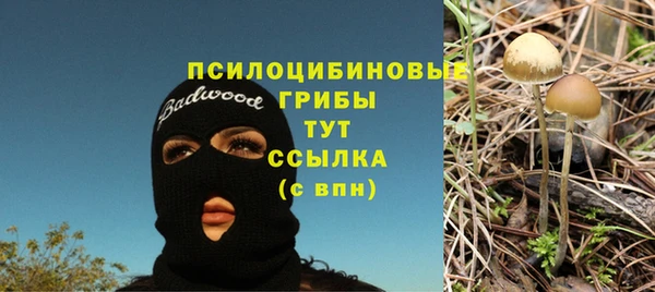 сатива Алексин
