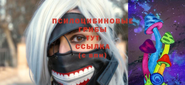 сатива Алексин