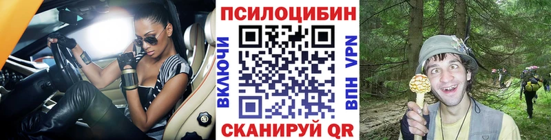 продажа наркотиков  mega ТОР  Галлюциногенные грибы GOLDEN TEACHER  Всеволожск 
