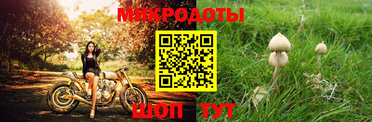 Галлюциногенные грибы Cubensis  Псилоцибиновые грибы Psilocybine cubensis  Всеволожск  Вход с VPN 